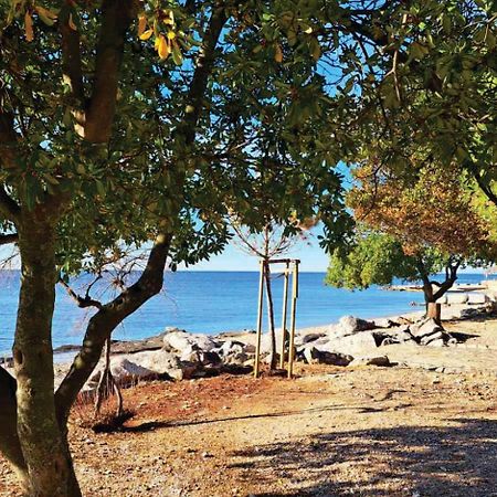 Apartment Istria Zambratija Kültér fotó