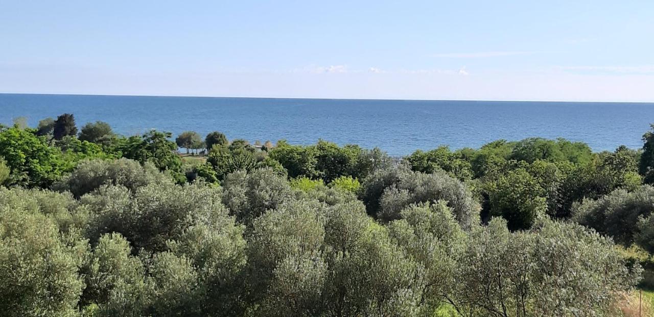 Apartment Istria Zambratija Kültér fotó